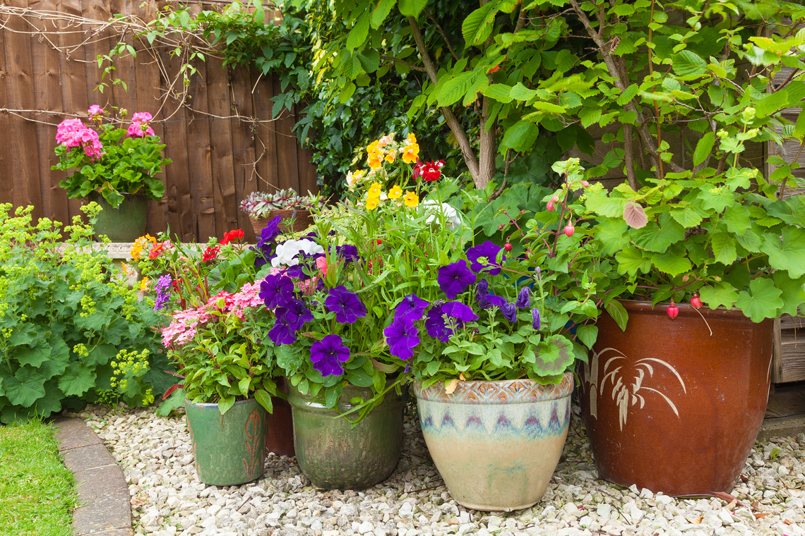 Make your garden, property or home look fantastic with William Mackay products